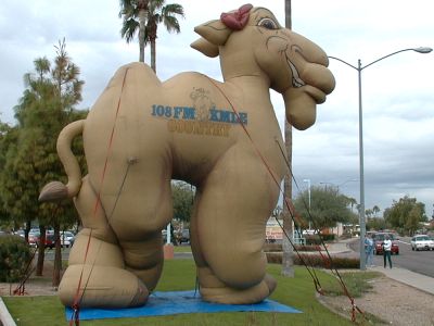Giant camel promotes good will.
