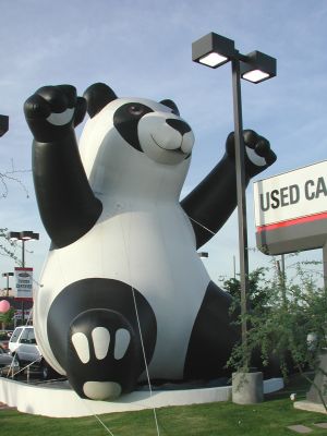 Giant panda sells Toyotas.
