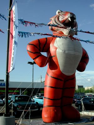 Giant tiger sells used cars.
